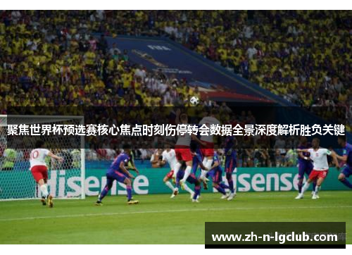 聚焦世界杯预选赛核心焦点时刻伤停转会数据全景深度解析胜负关键