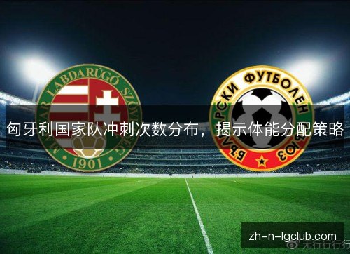 匈牙利国家队冲刺次数分布，揭示体能分配策略